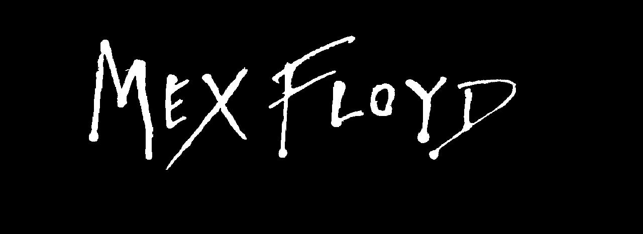 mexfloyd.com